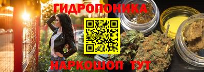 дмт Будённовск