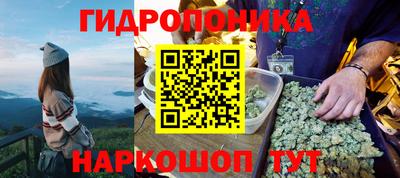 прущие грибы Бузулук